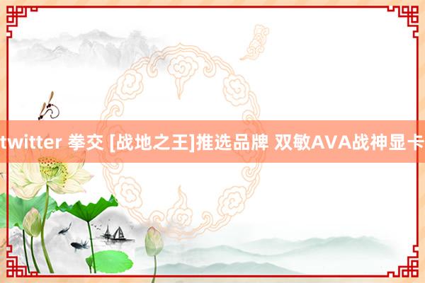 twitter 拳交 [战地之王]推选品牌 双敏AVA战神显卡