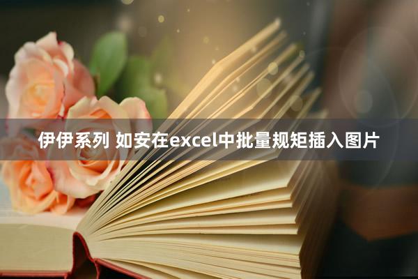伊伊系列 如安在excel中批量规矩插入图片
