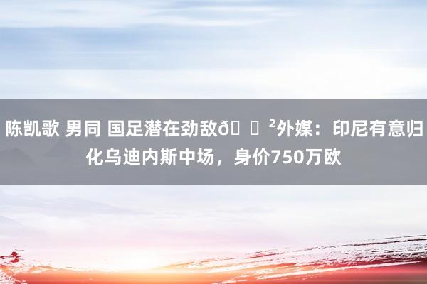 陈凯歌 男同 国足潜在劲敌😲外媒：印尼有意归化乌迪内斯中场，身价750万欧